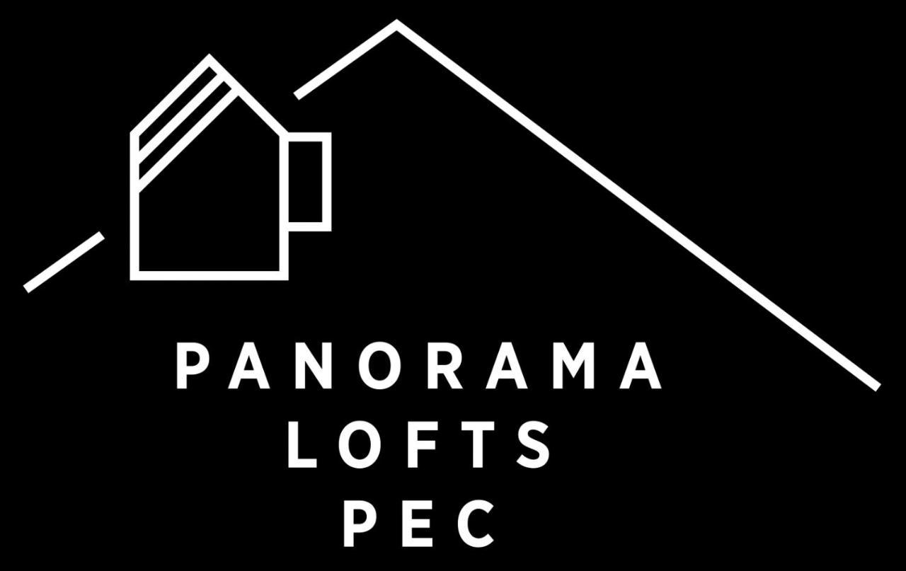 Panorama Lofts Pec Apartment *